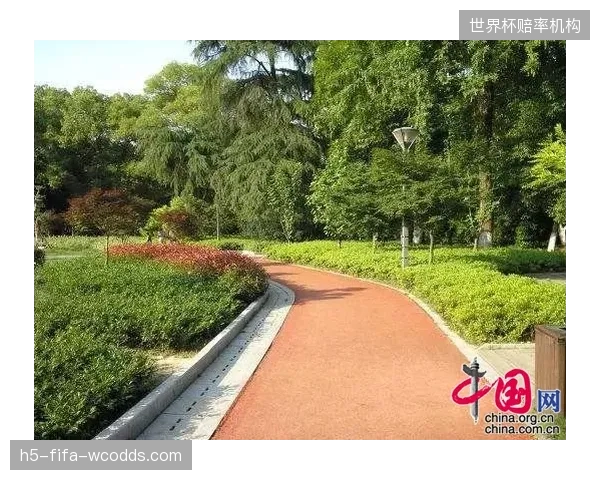 反思：追求“国际一流”的智能步道，是否忽略了市民对一个普通篮球场更迫切的需求？